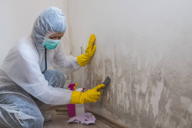 Best Mold Testing  in Newport, RI