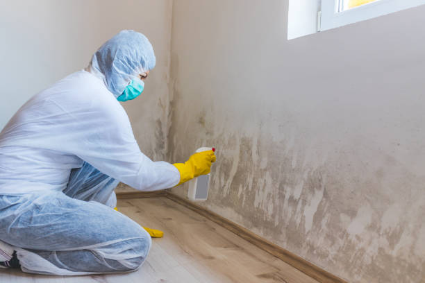 Best Commercial Mold Removal  in Newport, RI