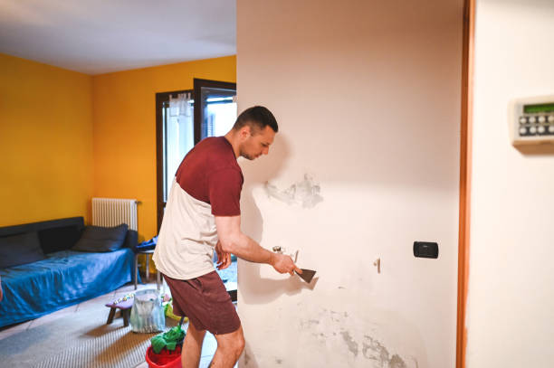 Best Mold Remediation  in Newport, RI