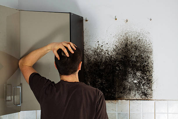 Crawl Space Mold Removal in Newport, RI